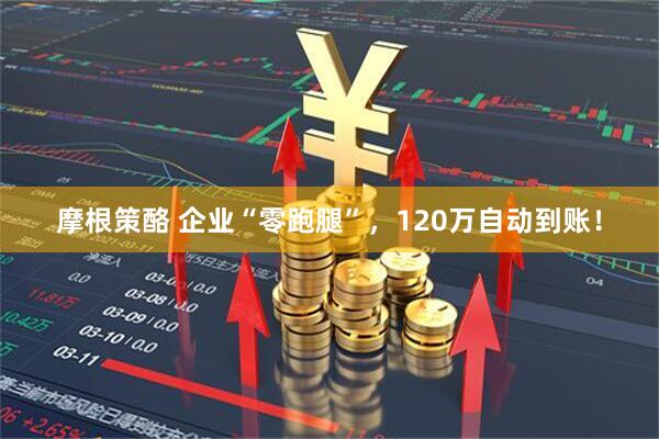 摩根策酪 企业“零跑腿”，120万自动到账！