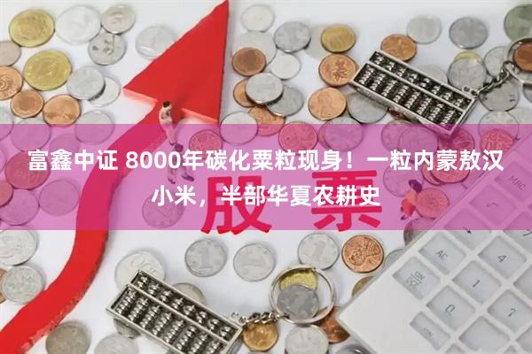 富鑫中证 8000年碳化粟粒现身！一粒内蒙敖汉小米，半部华夏农耕史