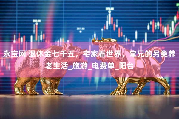 永宝网 退休金七千五，宅家看世界，堂兄的另类养老生活_旅游_电费单_阳台