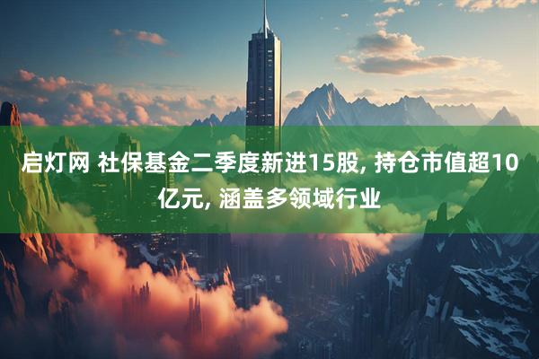 启灯网 社保基金二季度新进15股, 持仓市值超10亿元, 涵盖多领域行业