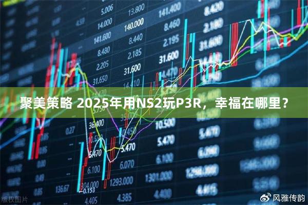 聚美策略 2025年用NS2玩P3R，幸福在哪里？