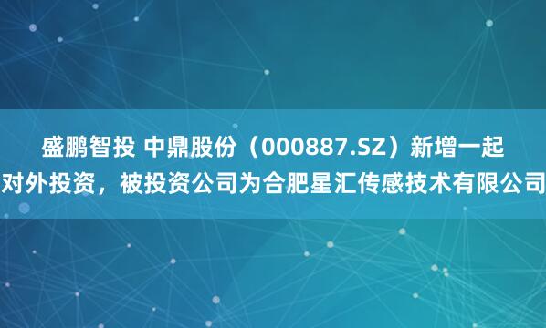盛鹏智投 中鼎股份（000887.SZ）新增一起对外投资，被投资公司为合肥星汇传感技术有限公司