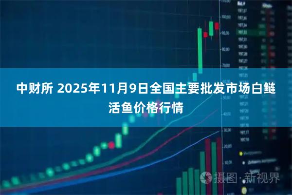 中财所 2025年11月9日全国主要批发市场白鲢活鱼价格行情