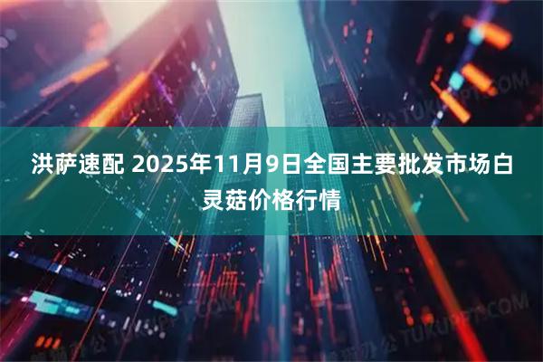 洪萨速配 2025年11月9日全国主要批发市场白灵菇价格行情