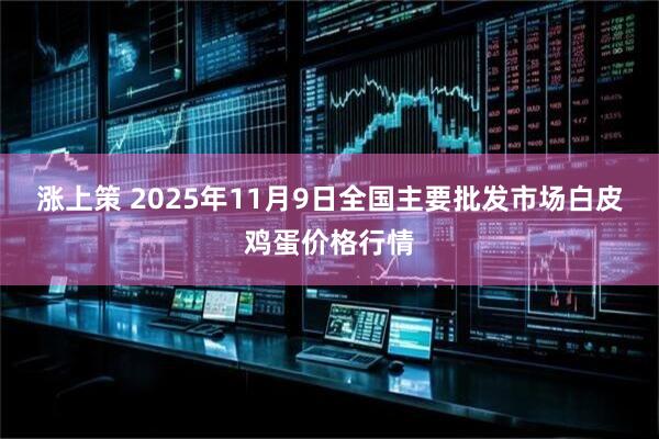 涨上策 2025年11月9日全国主要批发市场白皮鸡蛋价格行情