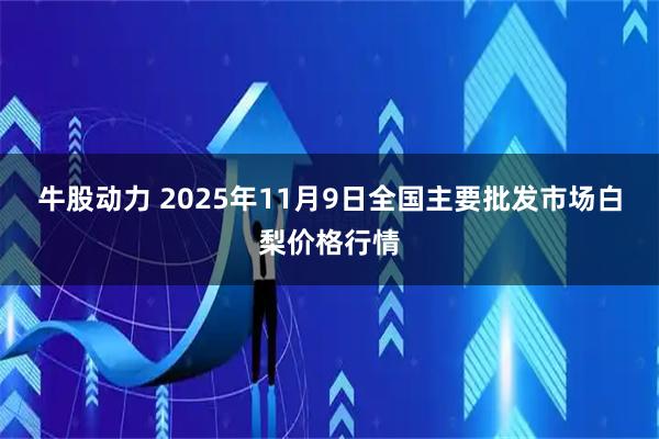 牛股动力 2025年11月9日全国主要批发市场白梨价格行情