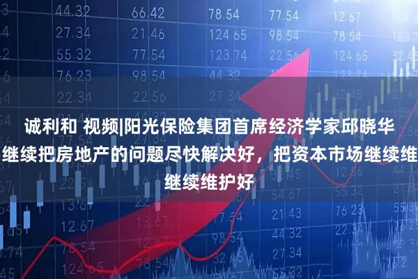 诚利和 视频|阳光保险集团首席经济学家邱晓华：要继续把房地产的问题尽快解决好，把资本市场继续维护好